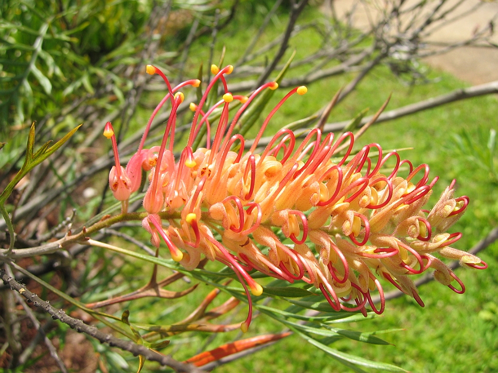 186 Lake Barrine.jpg